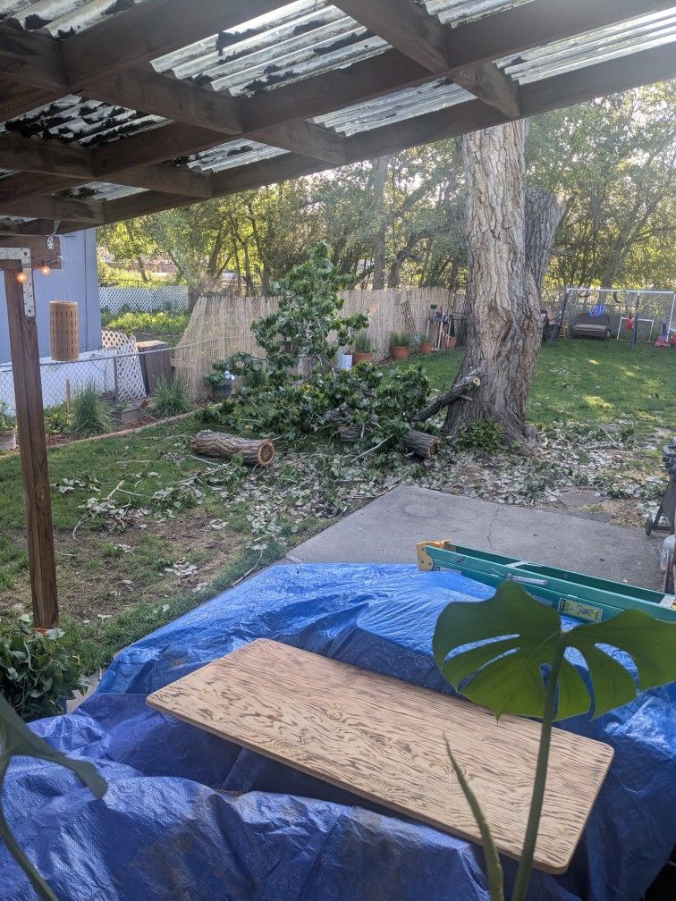 Free Firewood