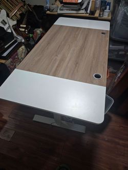 63" Electric Standing Desk