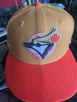 Toronto Raptors hat like new