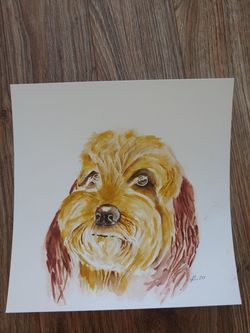 Watercolor painting,dog portrait,12x12