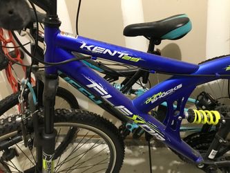 2 Bikes, 1 adult anapd 1 for teen