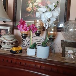 Decoración de Orquídeas 2x15 Dólares