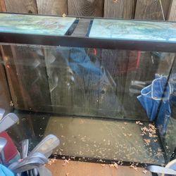 40 Gallon Aquarium With Light Cover & Stand 
