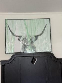Large Framed Highland Cow Wall Art New