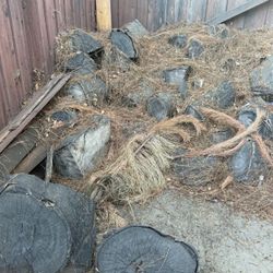 Free Firewood Wood Stumps 