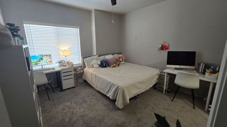 Complete Room Setup for Two Students (Male or Female) – Back-to-School Bundle