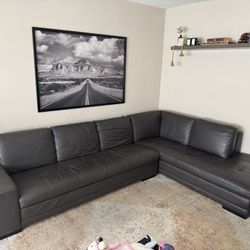 2 Piece Sectional Couch 