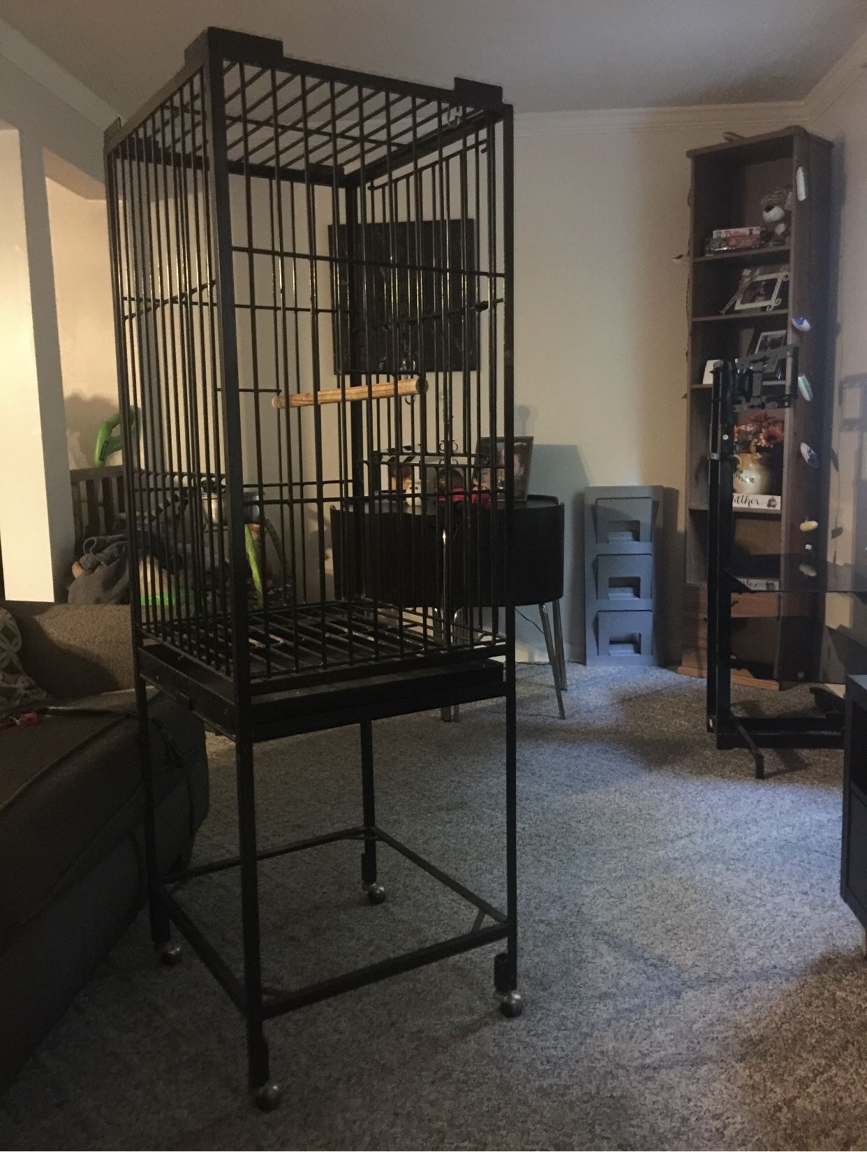 Parrot 🦜 bird cage