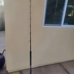 Ocean Fshing Pole.  Aggressor Series 20-50 79"