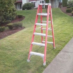 Ladder 6ft