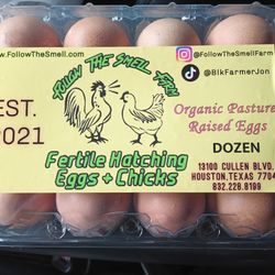 Free Range Eggs / Hatching Eggs - Follow The Smell Farm