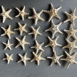 Starfish For Decoration 