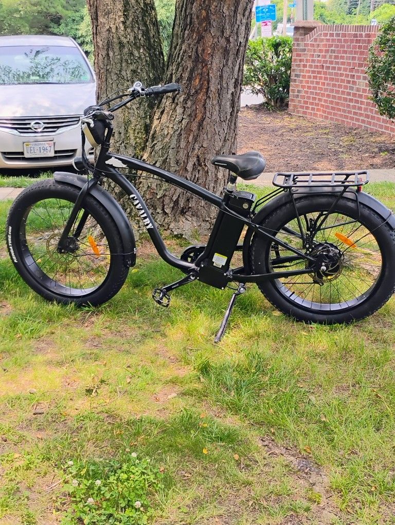 Electric Bike