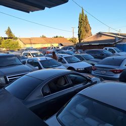 Public auctions