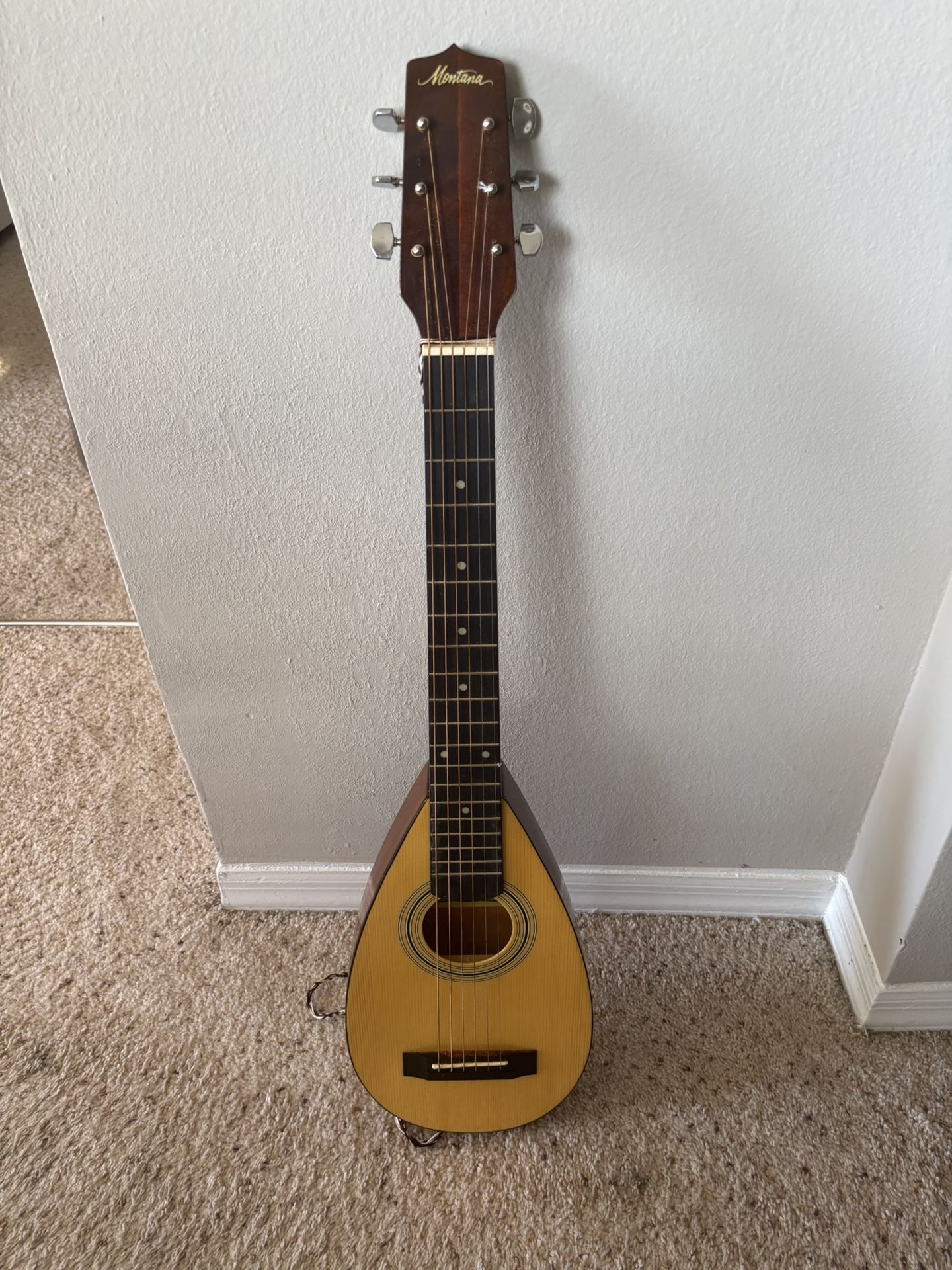 Travel Size Guitar, & case- Good For Kids Too $50