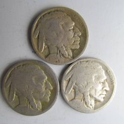 Set of all Three 1920 Buffalo Nickels -- INCLUDES BIG KEY DATE COINS! Thumbnail