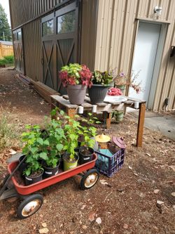 3 Family Garage Sale (9-5!)