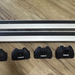 Thule Evo WingBar Roof Rack