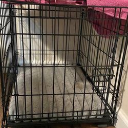 Medium Crate