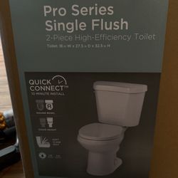 Toilet bottom (toilet tank not included)