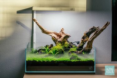 Rimless Tank UNS 60s 10.2g