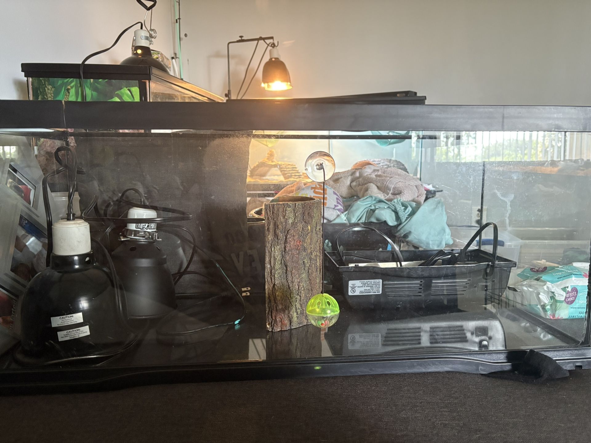20gallon tank