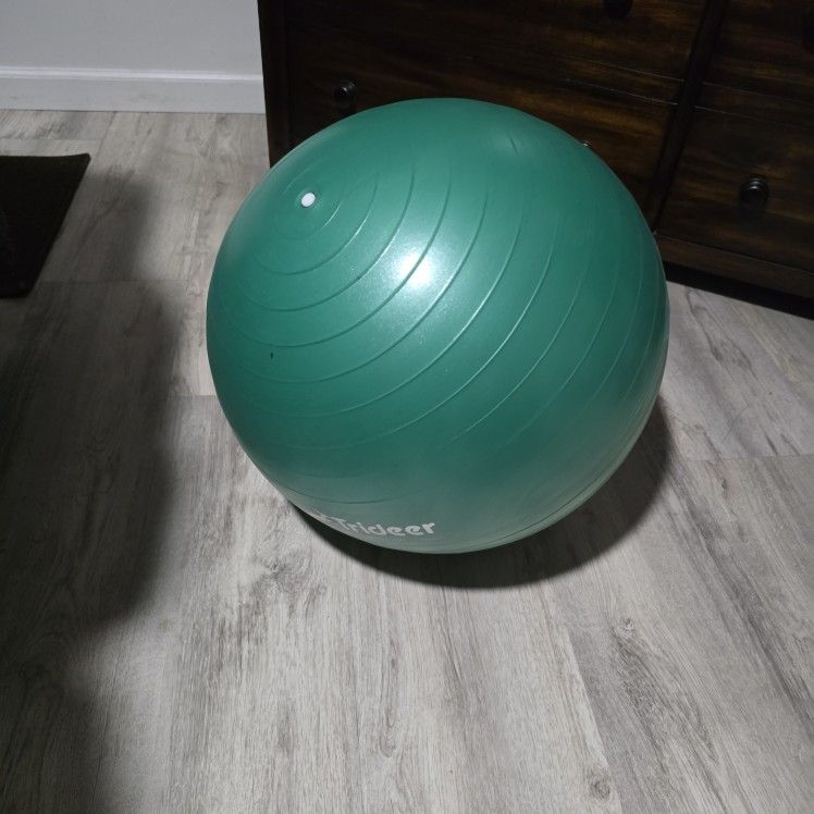 Exercise Ball