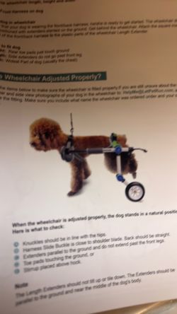Dog Wheelchair size 2