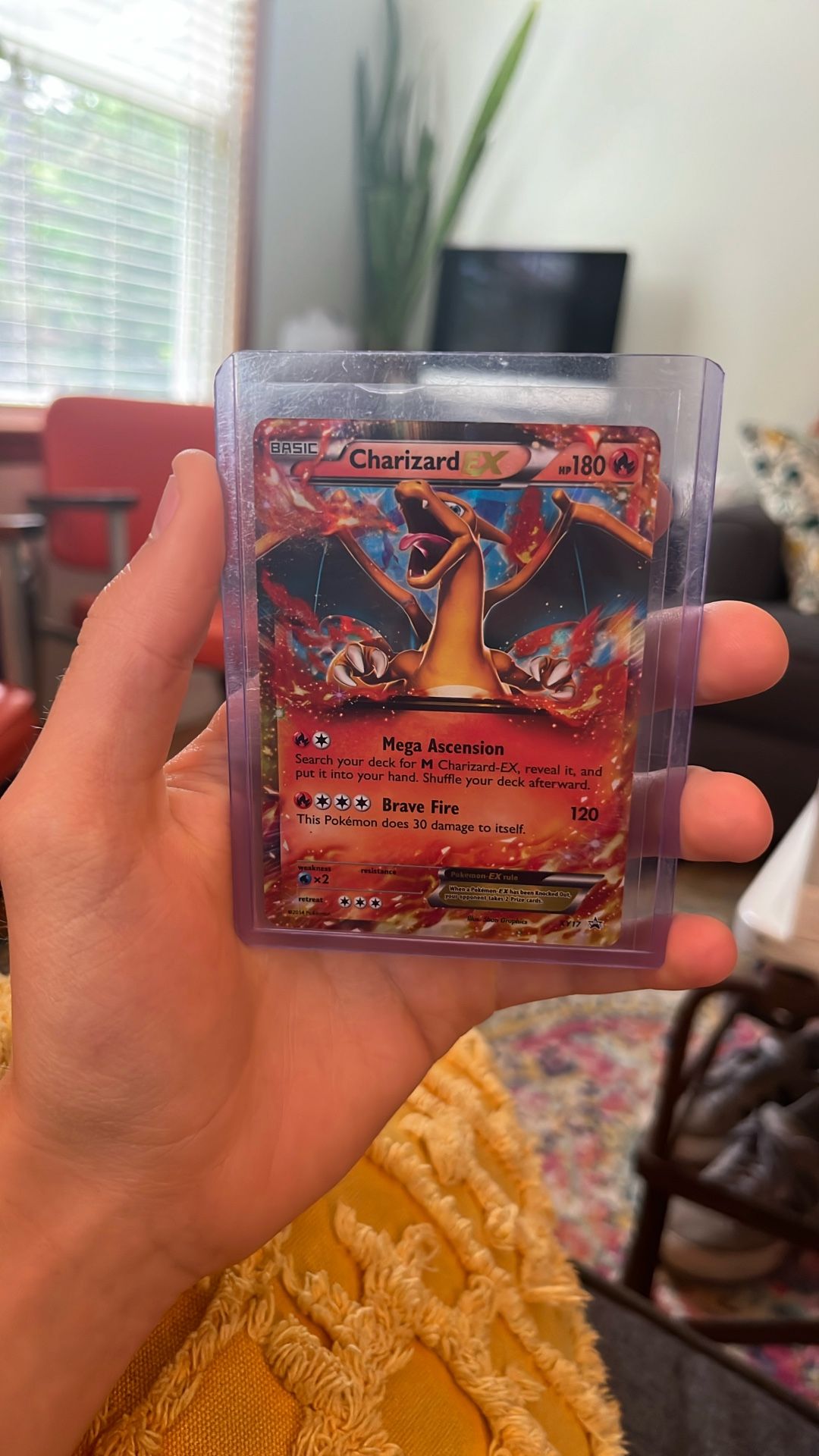 Charizard EX 2014