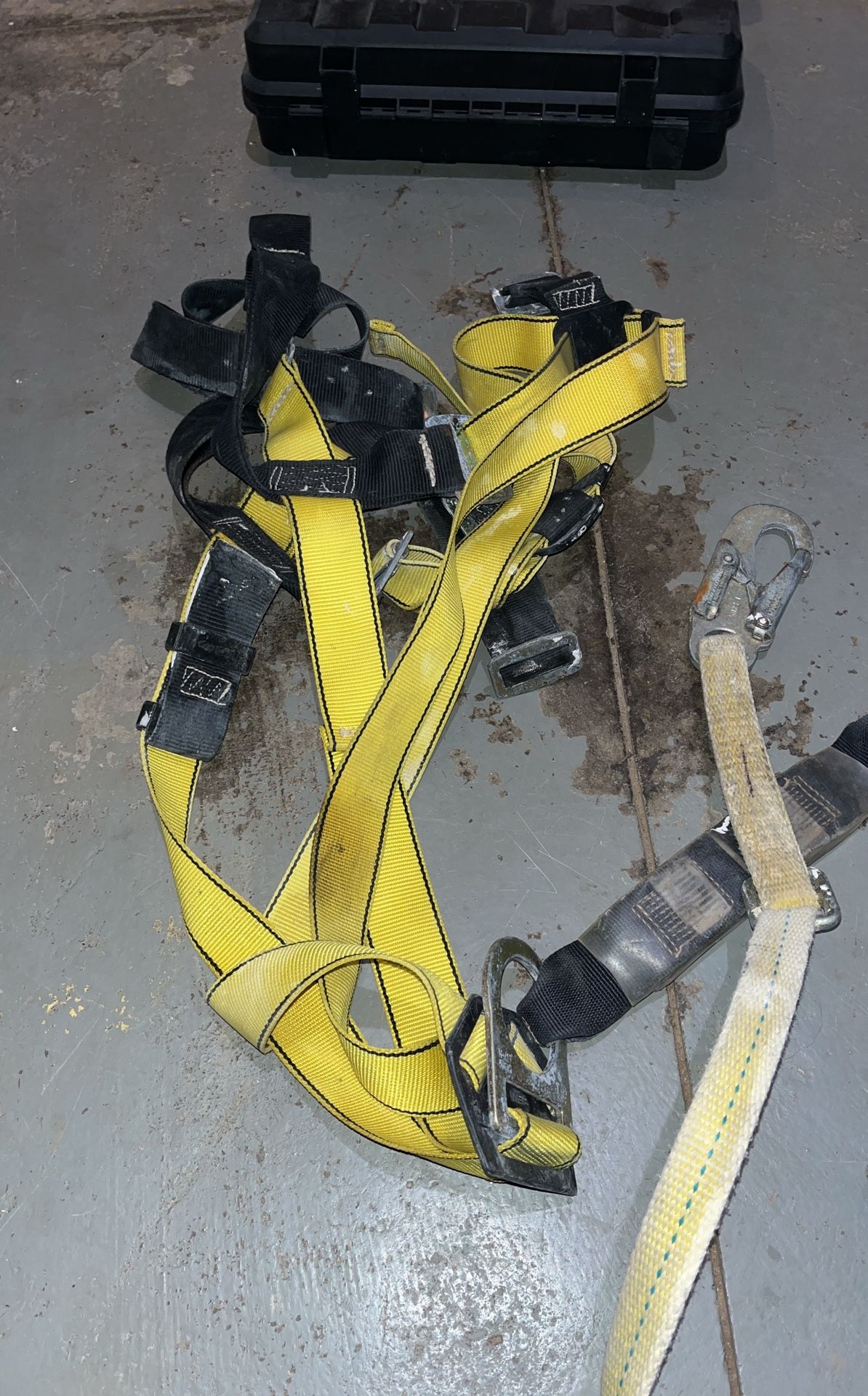 Harness
