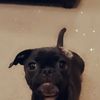 Edna