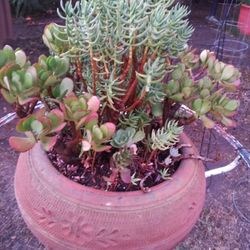 Vintage Rustic Pot With Iron Metal Table Stand Planter 
