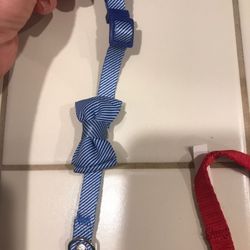 Breakaway Cat Collars