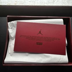 Jordan 4 Levi