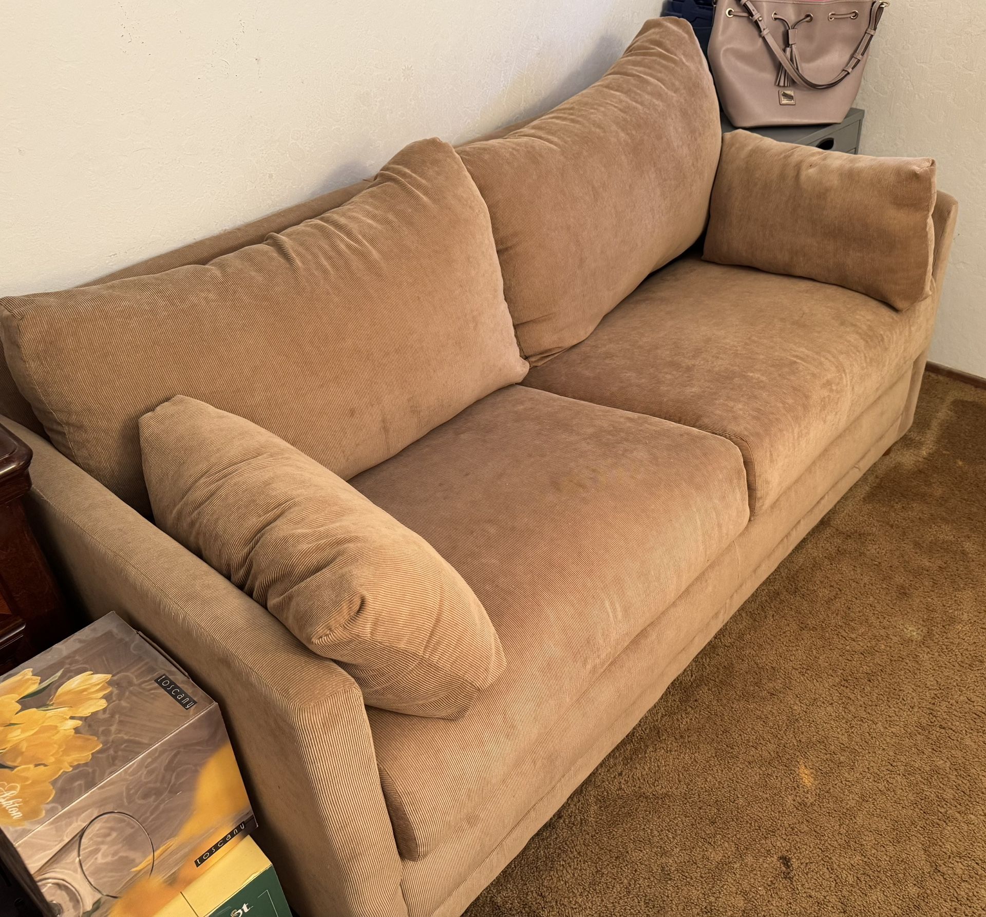 Love Seat Sofa Sleeper