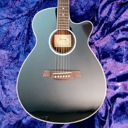 Ibanez Electric Acoustic Guitar With Case !! $200 Or Best Offer !!