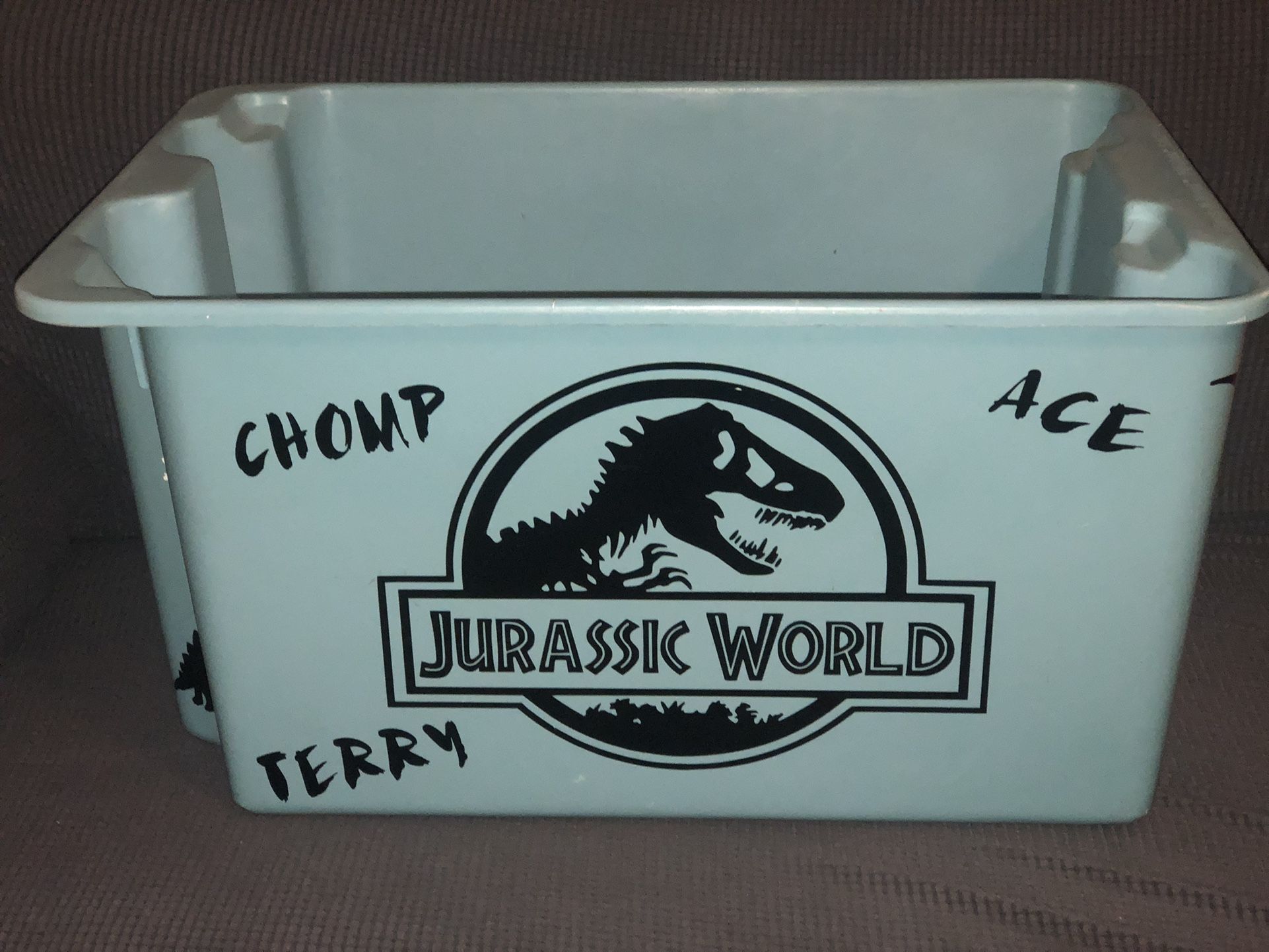 Storage Container (dinosaur theme)