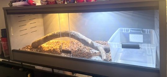 Reptile tank