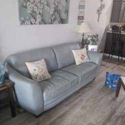 60x30 Italian Leather Aqua Sofa