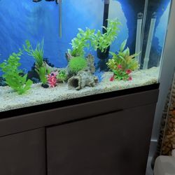 Fish Tank Aquarium for sale 55 gal 