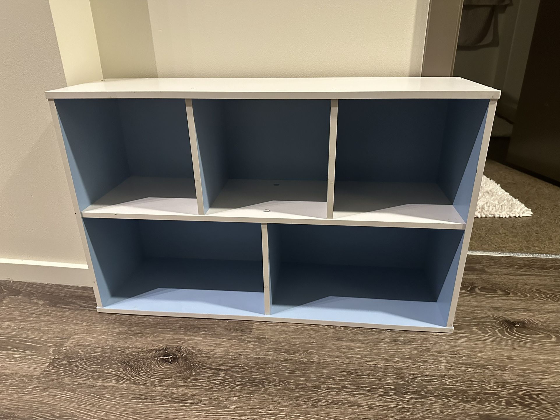 White And Blue Shelf