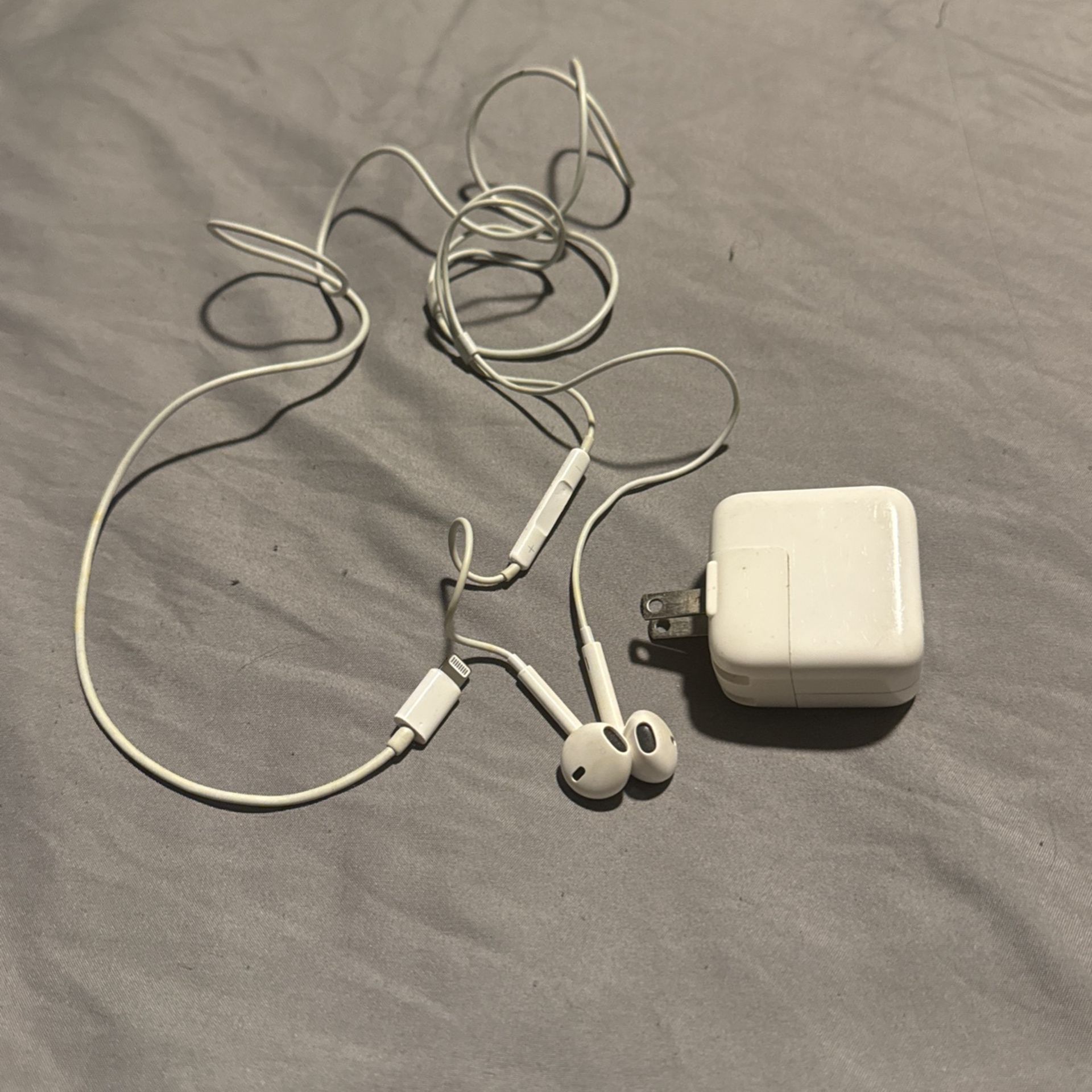 Apple Lightning Earphones and mic /charge box