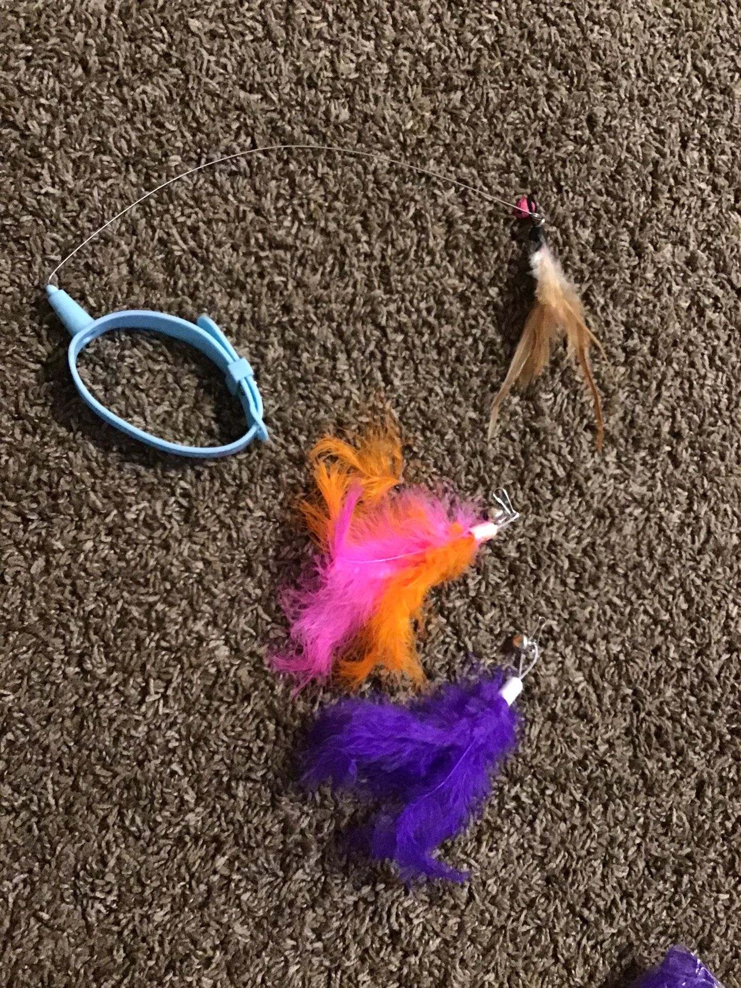 Cat Collar With Wire And Feather At End