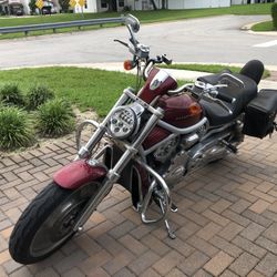 2002 Harley DAVIDSON V-ROD