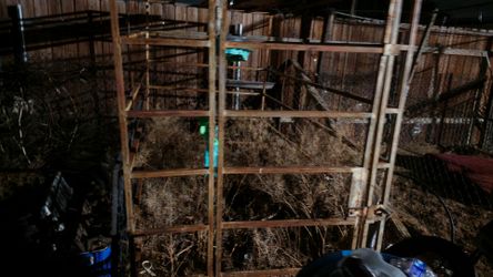 Live stock cage