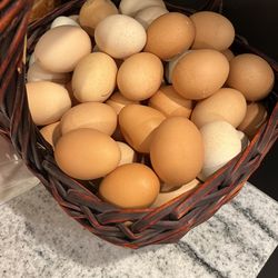 Fresh Eggs