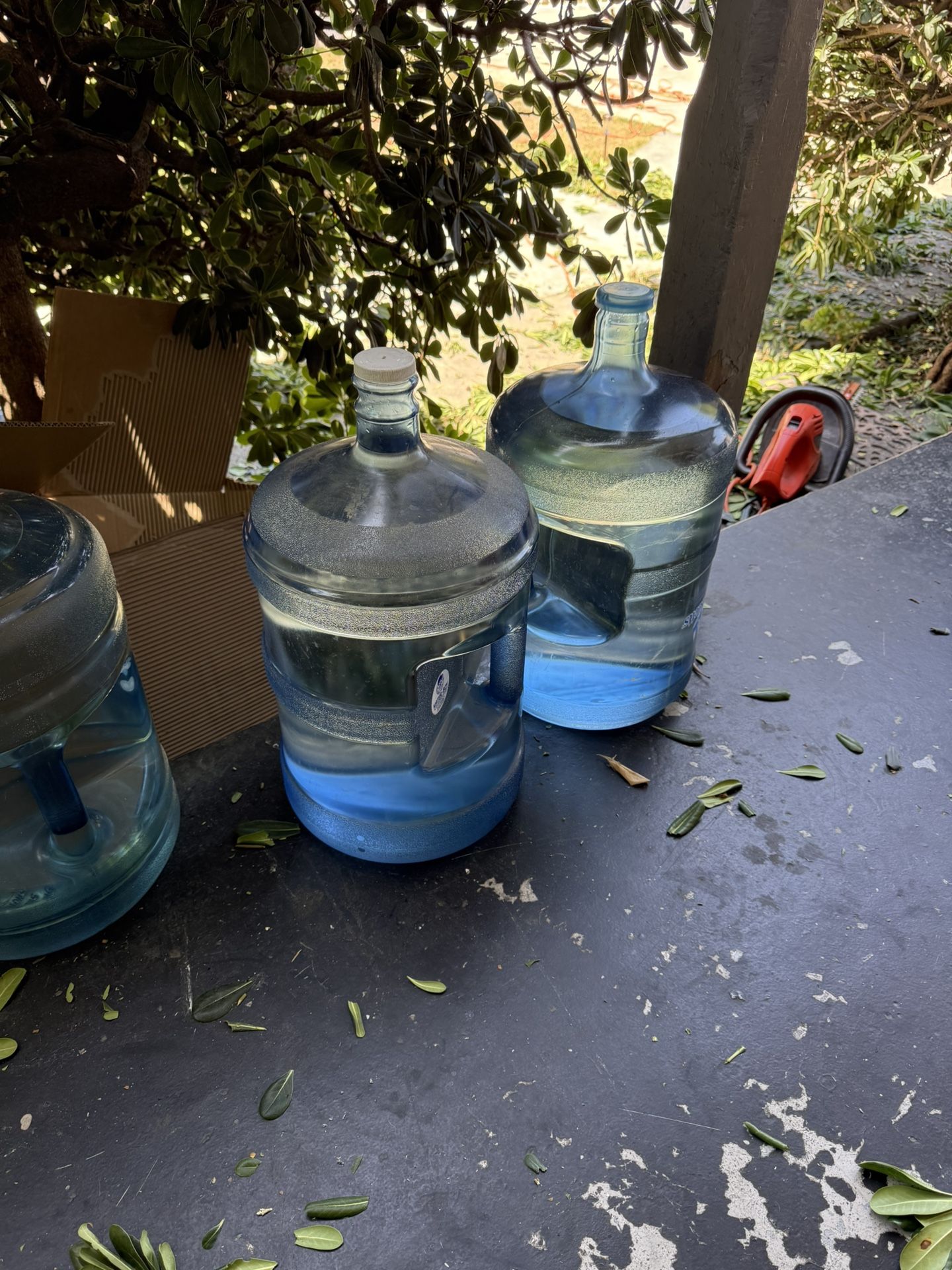 Water Gallon