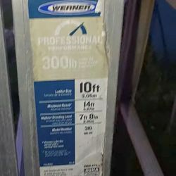 Werner 10ft ladder