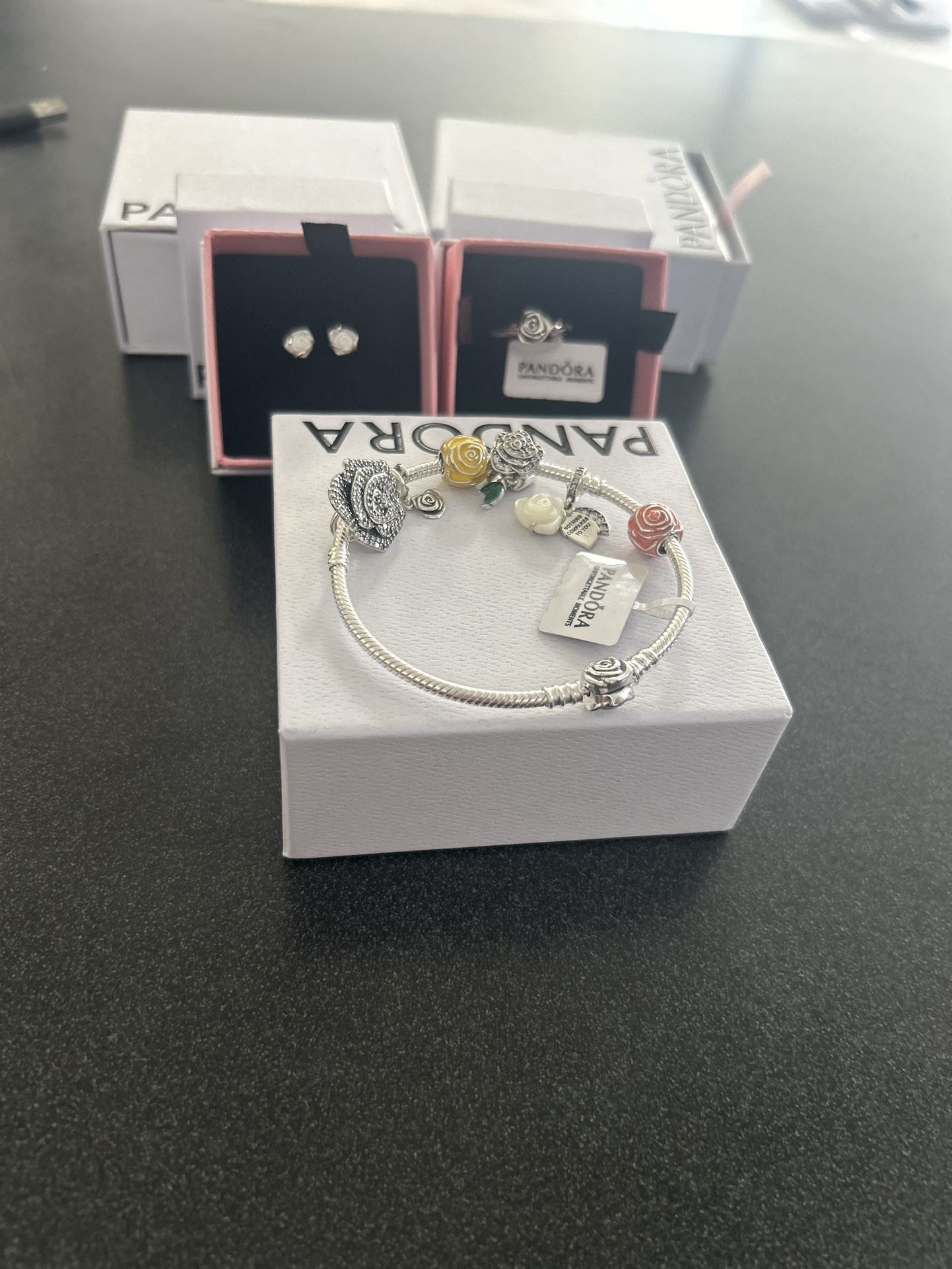 Rose Collection Pandora Inspired 