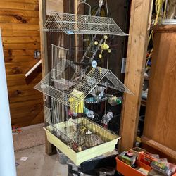 Bird Cage